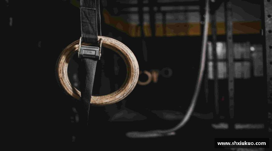 精彩瞬间，尽在体育